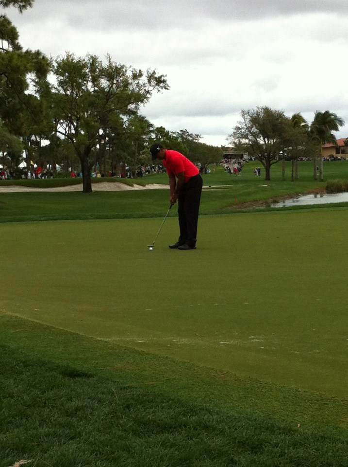 Tiger Woods