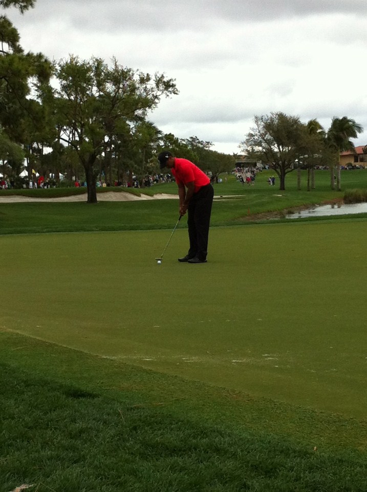 Tiger Woods